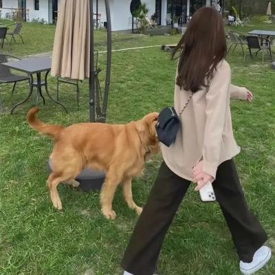 两个辘逐个捉 封面