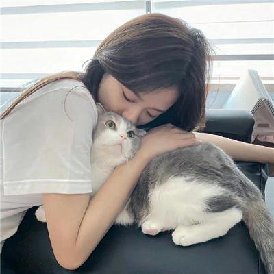 腊肠狗 封面