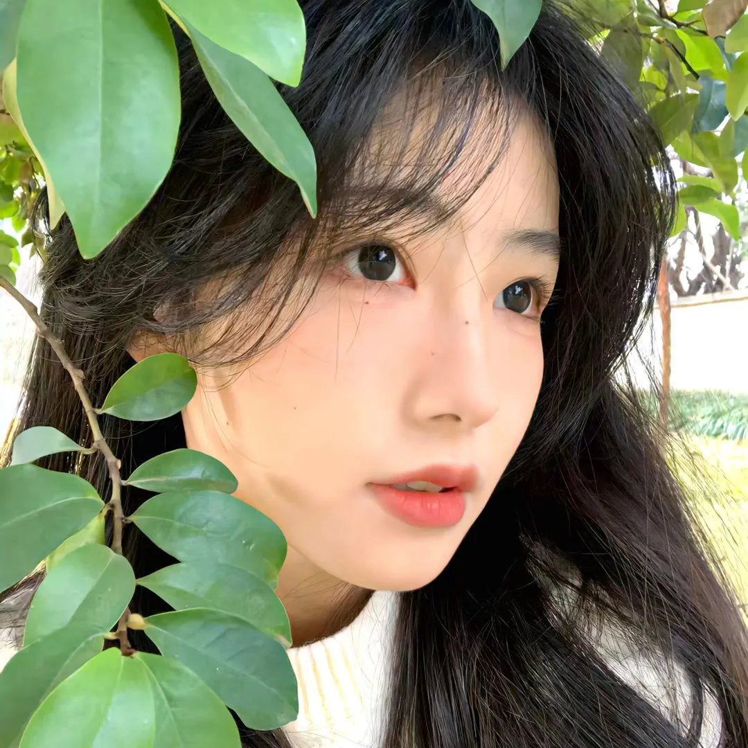 党同伐异 封面